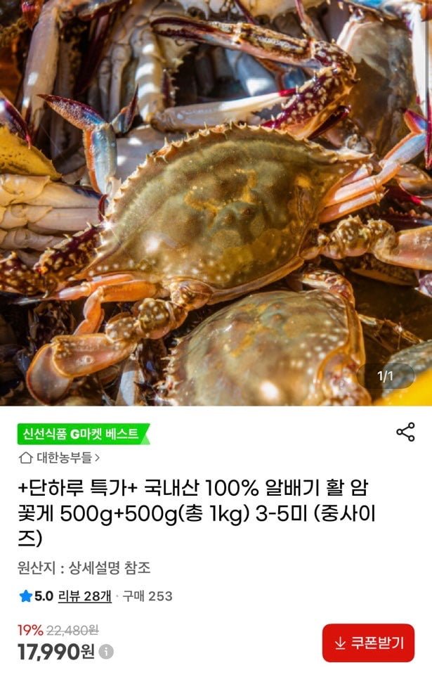 국내산 100% 알배기 활 암꽃게 500g+500g(총 1kg) 3-5미 (중 사이즈)